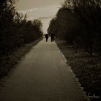 Passeggiando in bicicletta Passeggiando in bicicletta