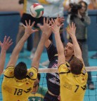 di chi è? di chi è?