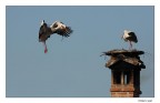 Ritorno a casa Ritorno a casa