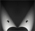 luci e ombre luci e ombre