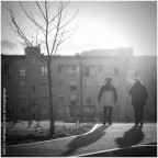 Passeggiando al tramonto Passeggiando al tramonto