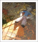 Fine di un Mito Fine di un Mito