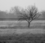 Terra che respira Terra che respira