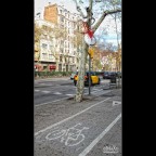 Parcheggi alternativi Parcheggi alternativi