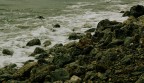 Ansedonia Ansedonia
