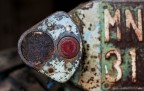 MN31