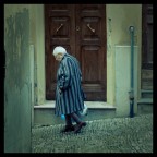 Vite in discesa Vite in discesa