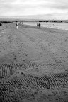 Guardando il mare