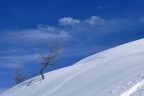 passegiando sui sentieri di montagna a volte guardandosi intorno sembra di essere immersi in un dipinto "olio su tela"