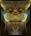 laminata