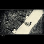 ....by bycicle. ....by bycicle.