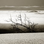 Panorama prealpino Panorama prealpino