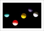 Colori