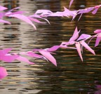 Colori e riflessi.. Colori e riflessi..