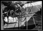 I pescatori di Pozzuoli I pescatori di Pozzuoli