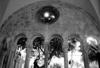 Arcate