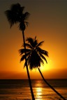 tramonto palmare tramonto palmare