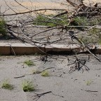 Legnoficina Legnoficina