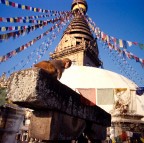 Nepal: sul tetto del mondo Nepal: sul tetto del mondo