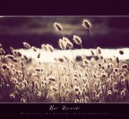 Nei Ricordi Nei Ricordi