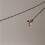 mi butto o non mi butto? mi butto o non mi butto?