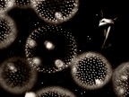 ...cells...