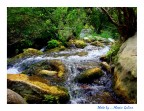 Panta Rei... Panta Rei...