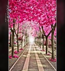 Imagine... Imagine...