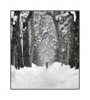 Silence..... Silence.....