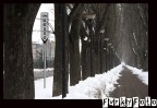 dosso nel viale dosso nel viale