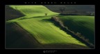 With green brush With green brush