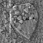 piccolo... piccolo...