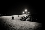 Trieste sotto la neve Trieste sotto la neve