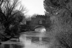IMG_3887 IMG_3887