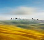 Val d'Orcia surreale Val d'Orcia surreale