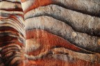 I colori di Petra I colori di Petra