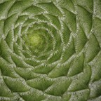 embrici embrici