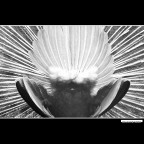 ::: ARCHITETTURA ::: ::: ARCHITETTURA :::