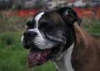 Thelma