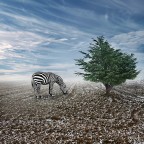 Cambiamenti climatici Cambiamenti climatici