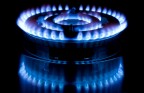Fuoco addomesticato Fuoco addomesticato