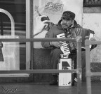 Affamati di musica Affamati di musica