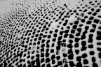 Snow Pattern Snow Pattern