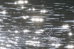I riflessi nell'acqua dell'Arno, come le luci di Broadway. 

Potevo anche contrastarla di pi, ma mi  piaciuta questa atmosfera un p soffusa.
Non so a voi.