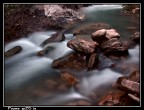 F8,00 t.e. 5,00sec iso 80