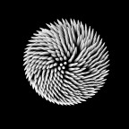 Johnny Stecchino Johnny Stecchino