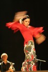 flamenco flamenco