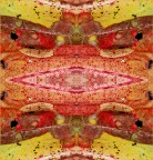 colori