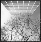 42nd Street - NYC 42nd Street - NYC