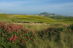 La Sicilia che mi piace... La Sicilia che mi piace...